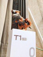 vivo T1 5G camera samples