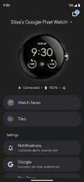 Google Pixel Watch app interface