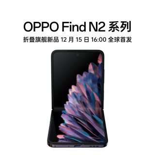 Oppo Find N2 Flip